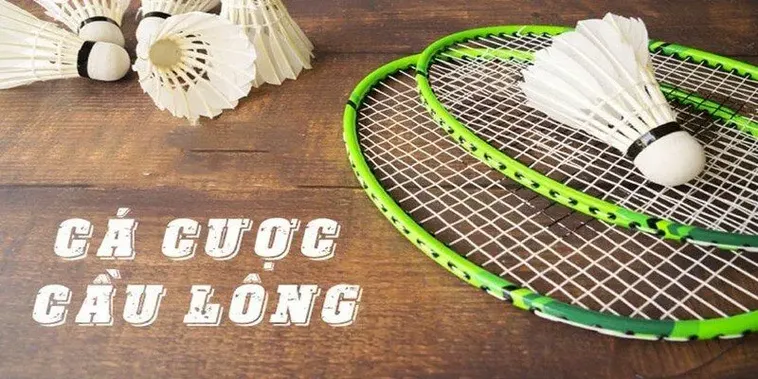 Hướng Dẫn Chơi Cá Cược Cầu Lông Tại AE888 Một Cách Hiệu Quả