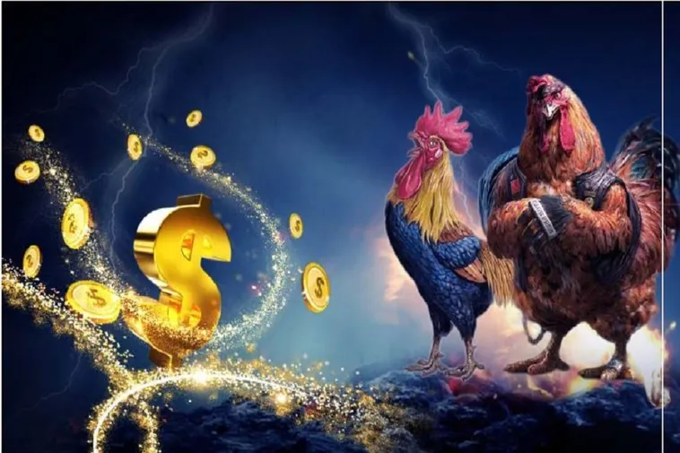 Hướng Dẫn Cách Chơi Đá Gà Sabong Tại AE888 Hiệu Quả Nhất 2 Hướng Dẫn Cách Chơi Đá Gà Sabong Tại AE888 Hiệu Quả Nhất