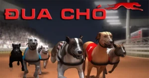 Hướng Dẫn Chơi Game Nhanh Đua Chó Tại AE888 Một Cách Hiệu Quả