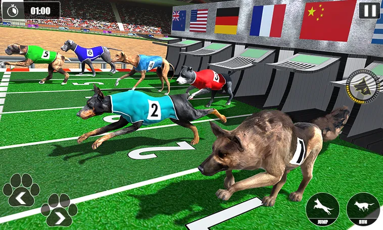 Hướng Dẫn Chơi Game Nhanh Đua Chó Tại AE888 Một Cách Hiệu Quả 2 Hướng Dẫn Chơi Game Nhanh Đua Chó Tại AE888 Một Cách Hiệu Quả